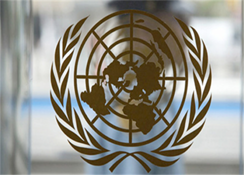 تناقضات الأمم المتحدة في اليمن