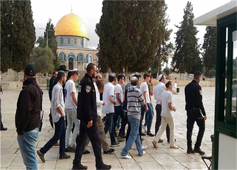 جماعات استيطانية تقتحم المسجد الأقصى بحماية الشرطة الصهيونية