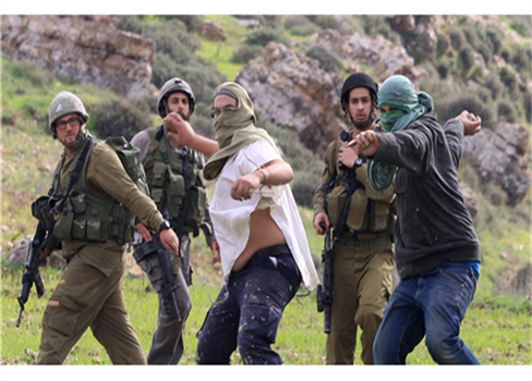 هجمات لقطعان المستوطنين على قرى فلسطينية بالضفة المحتلة