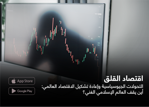 اقتصاد القلق (*) التحولات الجيوسياسية وإعادة تشكيل الاقتصاد العالمي: أين يقف العالم الإسلامي الغني؟