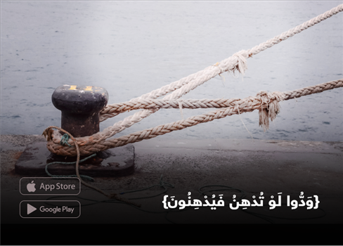 {وَدُّوا لَوْ تُدْهِنُ فَيُدْهِنُونَ}
