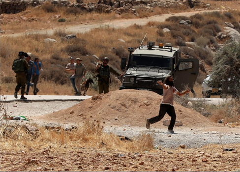 عصابات استيطانية مدربة تهاجم الفلسطينيين في الضفة المحتلة