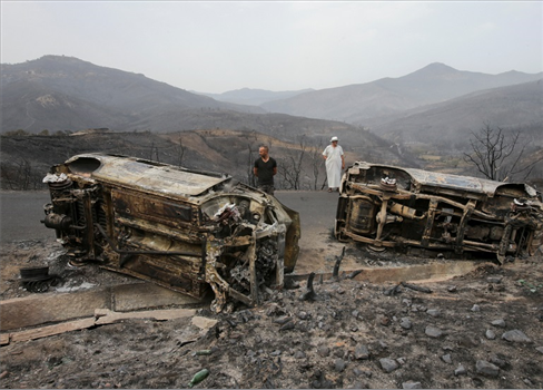 خسائر بشرية ومادية مرتفعة نتيجة الحرائق في شمال الجزائر