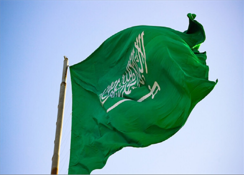 بدء عضوية السعودية رسميًا في مجموعة 